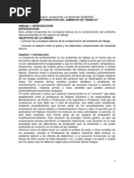 Salud Ocupacional y El Desarrollo Sostenible