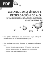 Clase 14 Degradacion Acidos Grasos