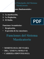 Funciones Del Sistema Masticatorio