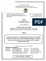 Thème: Spécialité: Option