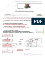 Correction Eval Seisme-1