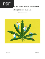 Efectos Del Consumo de Marihuana Al Organismo Humano