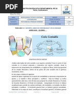 Soportes Contables