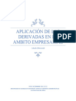 Aplicación de Las Derivadas en El Ambito Empresarial