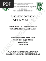 Plan de Cuentas de Una Empresa Comercial Gabinete