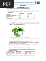 RETROALIMENTACIÓN CC y TT 4TO-2023