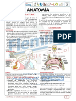 7773 - ANATOMÍA - Guía 2 Verano