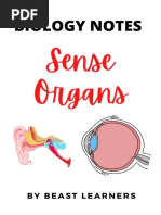 Sense Organs Notes