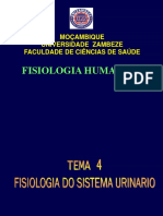 Aula 14 Funcao Glomérulo-Tubular. Depuracao Plasmática