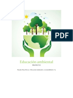 Ambiental Proyecto