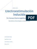 Electroestimulación Inducida Por Campos Electromagnéticos