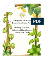 Philippine Fruit Trees Production Guide