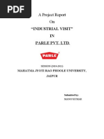 "Industrial Visit" IN Parle Pvt. LTD: A Project Report On