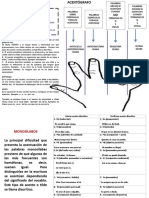 ACENTÓGRAFO y DIACRÍTICO