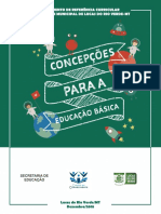 Concepções Da Educação Básica