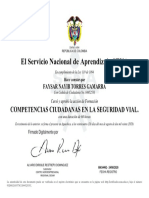 Curso - Competencias Ciudadanas de Seguridad Vial.