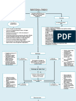 Mapa Conceptual Del Sistema Oseo 2