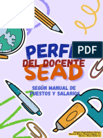 Perfil Del Docente Sead-1