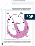 Common Arrhythmias - The Importance of ECG Interpretation