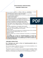 DOCUMENTO II DE DERECHO PROCESAL CONSTITUCIONAL - PDF OPINIÓN