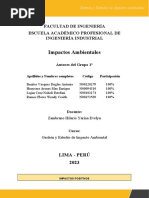 Impacto Ambiental