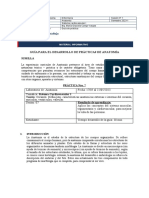 Guía de Práctica 07 Sistema Cardiovascular I