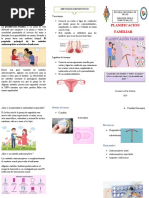 Triptico Metodos Anticonceptivos