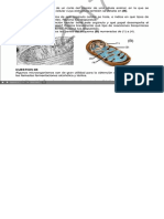 Biología EJERCICIOS Y EXÁMENES RESUELTOS 2