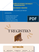 Carga Masiva T-Registro