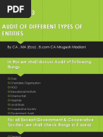 Audit of Different Types of Entities