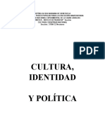 Cultura, Identidad y Politica