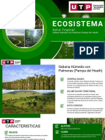 ECOSISTEMA