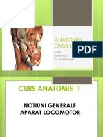 Curs 1 Anatomie Sem. 1