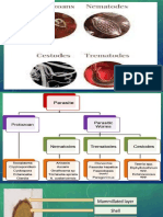 MC3 - Lab Finals Parasites Anatomy