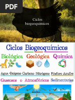 Ciclos Biogeoquimicos