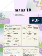 Semana 10 Sesión 18