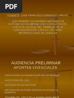 Audiencia - Preliminar. - Jose - F. - GONZALEZ (No Posee)