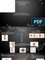 Los Órganos Sensoriales