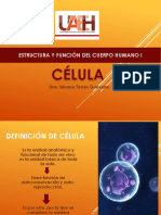 1CELULA