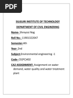 Environmental Eng Assignment CA2 SIT Shreyosi