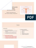 UD12. Fisiopatologia Del Aparato Reproductor I