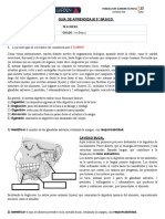 Guía Sistema Digestivo 5° Básico