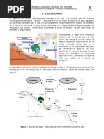 Agua Preservacion Ambiental