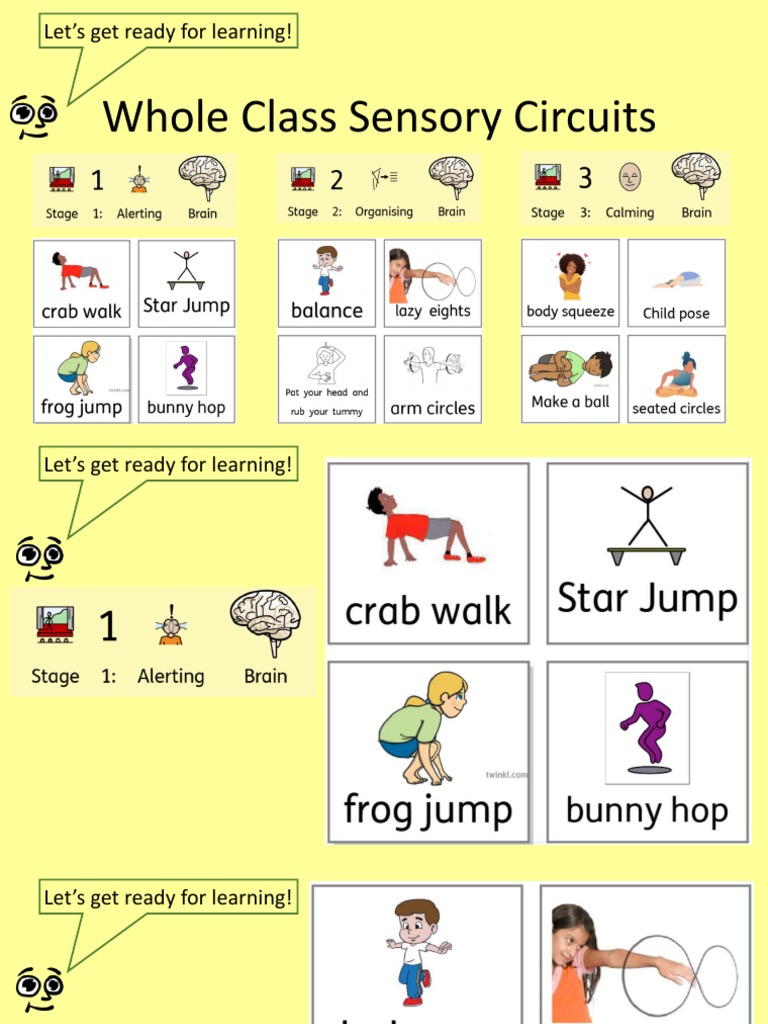 Sensory Circuits Whole Class | PDF