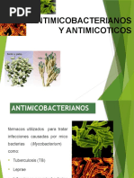 Defenza de Antimicoticos y Antifungicos