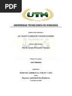 Tarea 1 Derecho Ambiental, Impacto Ambiental en Honduras