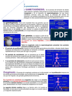 Tema10 Fertilidad y Desarrollo Preembrionario