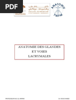 Anatomie Des Glandes Et Voies Lacrymales