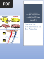 Térmica Por Contracorriente en Los Animales