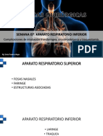 S7 Aparato Resp - Superior.complicaciones Intub....